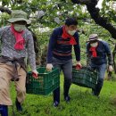 경주중앙의원 이미지