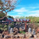 조이빌 | 제주 귤빛캠핑장 X 제주 캠핑패밀리 10월정모!! 제주 캠핑장 카라반 글램핑장 추천 귤빛캠핑장