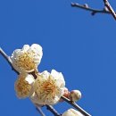 삼성A경로당 이미지