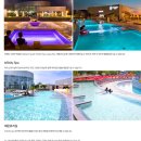 파라다이스스파도고 이미지