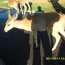 베어스톤 이미지