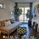 호우재