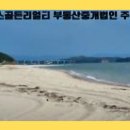 비아트리스테니스펜션 이미지
