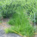 경운농장 이미지