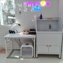 체리몽애견풀빌라 이미지
