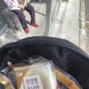 성산할머니경로당 네이버블로그