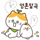 세븐스타코인노래연습장검단 이미지