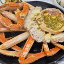 항구횟집 | 속초 대포항 맛집 추천 항구활어 대게맛집 D코스 후기 애견동반 가능한 횟집