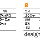 올바른 스트레칭 운동법 이미지