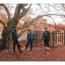 갈밭세천 이미지