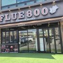 플루800 이미지