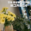 에그카페24 안동용상점