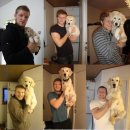 귀여워, 댕댕이 이미지