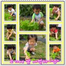 반곡농장 이미지