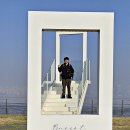 서해랑길 92코스, 삼십 리 시화방조제 걷기 이미지