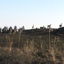 우리사슴목장 이미지