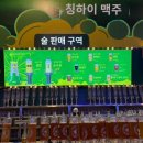 럭키7편의점 | 2026 칭다오 맥주축제 방문 후기 (칭다오 부스/화장실/K 편의점/다른 부스 그 외)