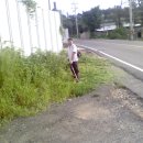 장곡3리 이미지