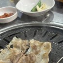 해말금 이미지