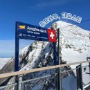 동신2단지(아) | 스위스 인터라켄에서 융프라우가는법, 동신항운 융프라우 VIP 패스 1일권으로 신라면 먹고 피르스트까지!