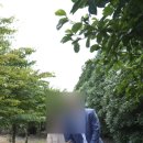 모션 | 내돈내산 웨딩사진보정 업체, 필모션 후기(내돈내산) - 제주도 셀프 웨딩촬영기