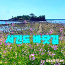 강정동-75 네이버블로그