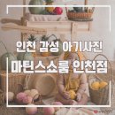 차오름로 | 인천아기사진 청라베이비비스튜디오 200일 촬영 후기 마틴스쇼룸 인천점