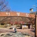 금오산도립공원 야영장(하) 화장실 | 구미금오산야영장 11월 방문 후기 대구근교캠핑