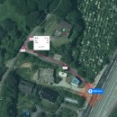 댄싱도그 이미지