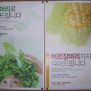 버르장머리 네이버블로그