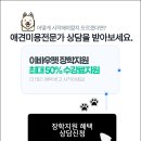 희망애견샵 이미지