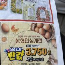 대백마트(김천혁신점) | 김천혁신 하나로마트 오픈 행사 전단, 케이원 식자재마트 폐업