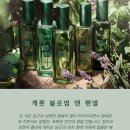 허브블러썸 이미지