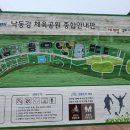 낙동강체육공원 농구장 이미지