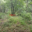 포항시북구22 이미지