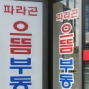 파라곤 공인중개사사무소 이미지
