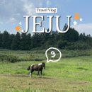 고수라김밥 만덕동문점 | 스노쿨링하러 간 성수기 9월 제주 2박3일 3일차(평대해수욕장, 도우보이, 카페679, 동문시장, 김만복김밥)