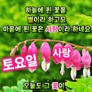 부지깽이가 이미지