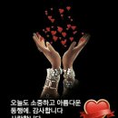 계룡산 동학사 계곡 이미지