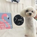 개편한 미용# 이미지