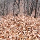 이산고등학교 이미지