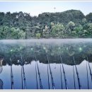 삼인낚시터 이미지