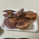 속초회잔니 | 속초 교동 맛집 횟집 추천 속초회잔니 포장 후기
