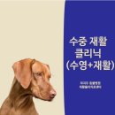 차지우동물병원 이미지