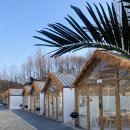 원주리라 | [원주] 원주 바베큐 맛집, 스타릿 비치 솔직 후기!!