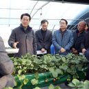 김영록농장 이미지