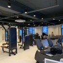 현 피티샵 이미지