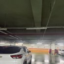 내몸해독센터 이미지