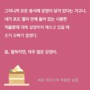 에이미케이크 이미지