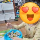 아침베리 | 아이 밥태기 극복! 아침마다 전쟁이라면? 베리쿡 야채뿌리고 후리가케 내돈내산 후기